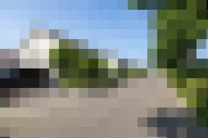 De Taling 21 Almelo thumbnail 29