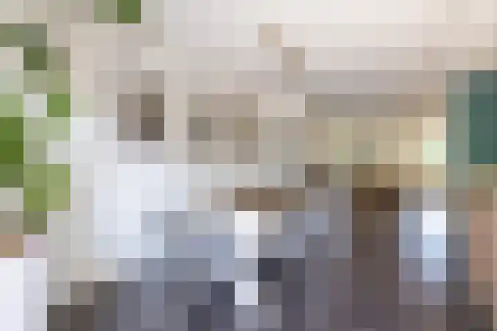 De Taling 21 Almelo thumbnail 9