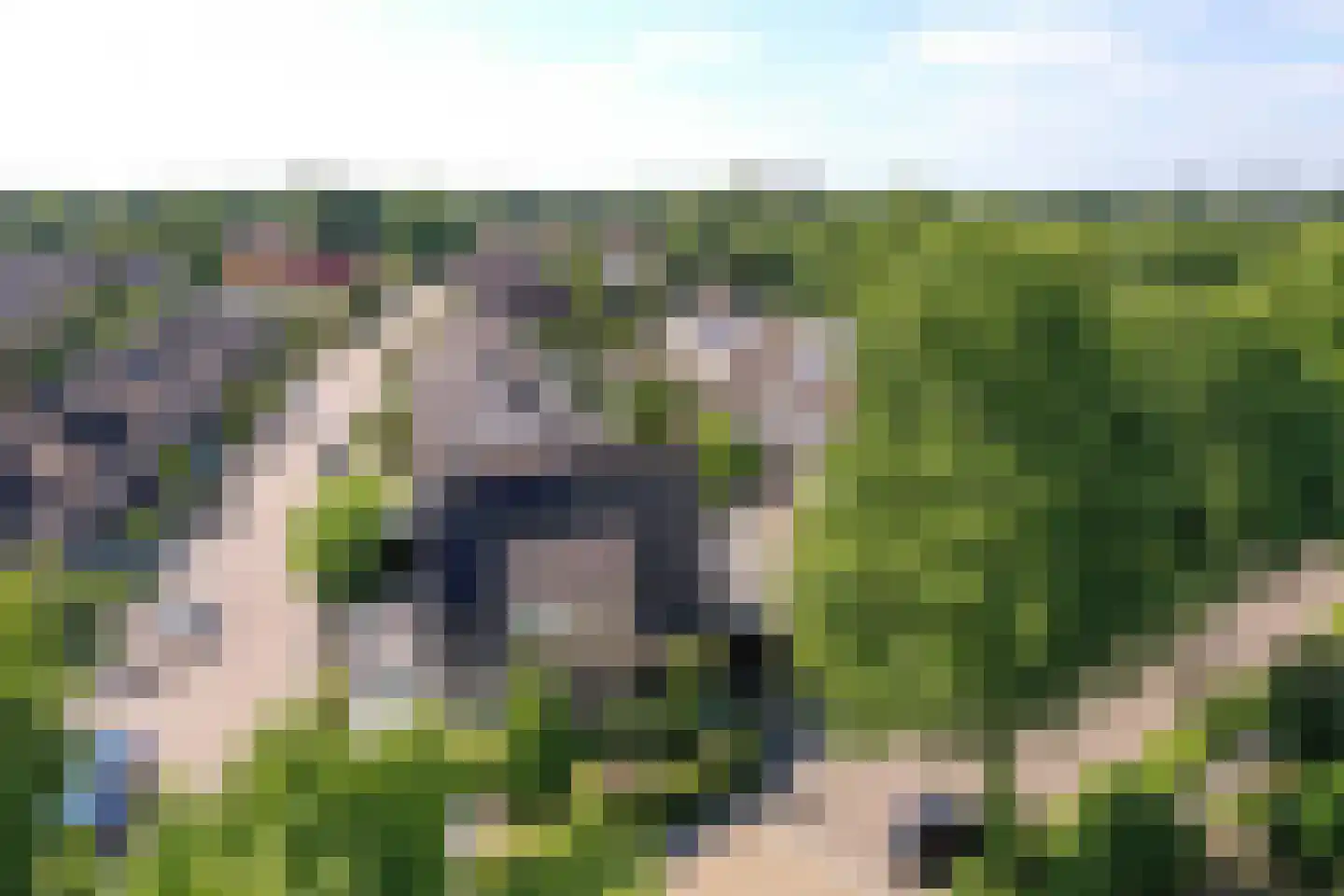De Taling 49 Almelo thumbnail 5