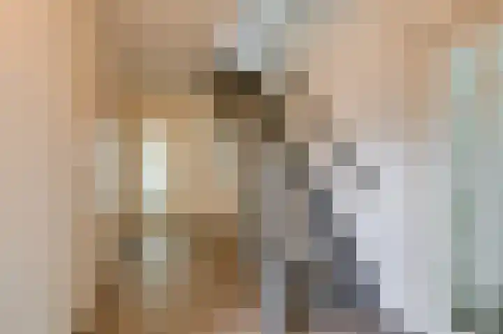 De Tamboer 11 Duiven thumbnail 12