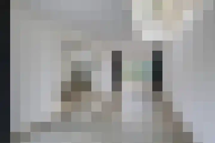 De Tamboer 11 Duiven thumbnail 21
