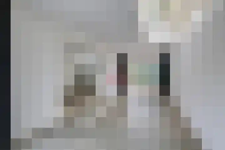 De Tamboer 11 Duiven thumbnail 22