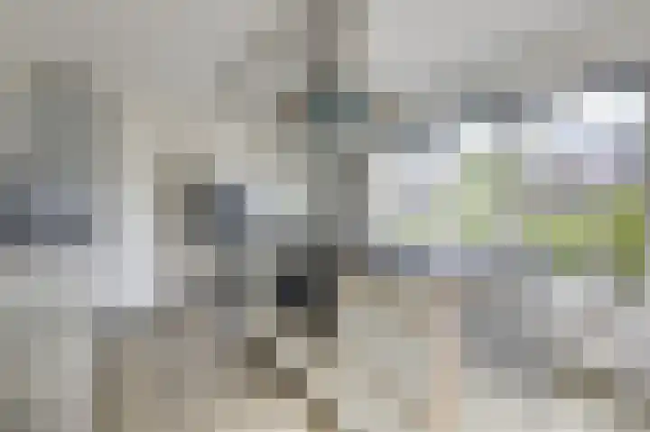 De Tamboer 11 Duiven thumbnail 31