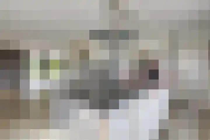 De Tamboer 11 Duiven thumbnail 33