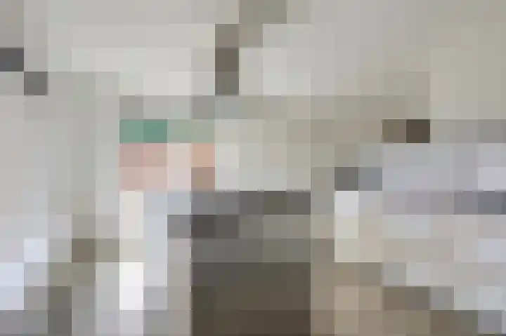 De Tamboer 11 Duiven thumbnail 35