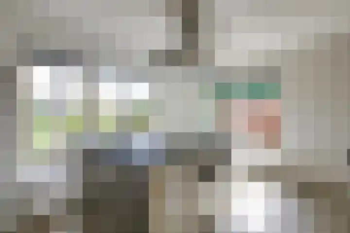De Tamboer 11 Duiven thumbnail 37