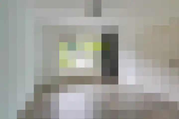 De Tamboer 11 Duiven thumbnail 41