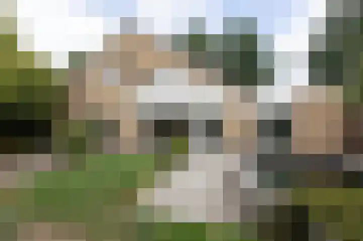 De Tamboer 11 Duiven thumbnail 66