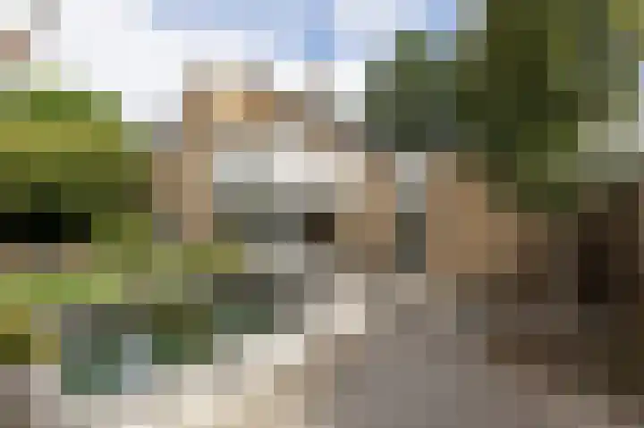 De Tamboer 11 Duiven thumbnail 67