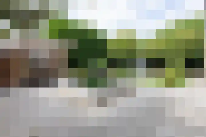 De Tamboer 11 Duiven thumbnail 68