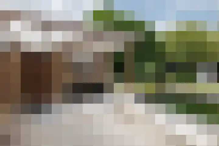 De Tamboer 11 Duiven thumbnail 71