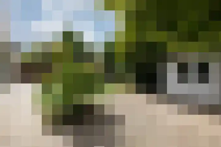 De Tamboer 11 Duiven thumbnail 75