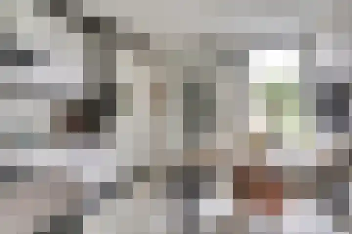De Tamboer 19 Duiven thumbnail 11