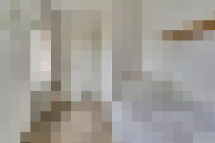 De Tamboer 19 Duiven thumbnail 22