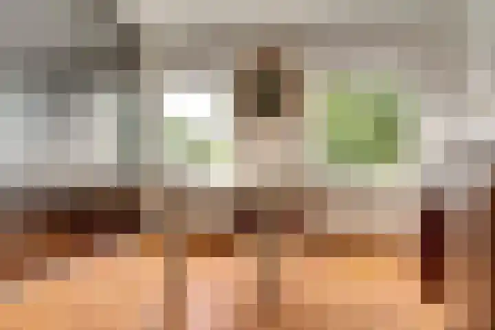 De Tamboer 19 Duiven thumbnail 25