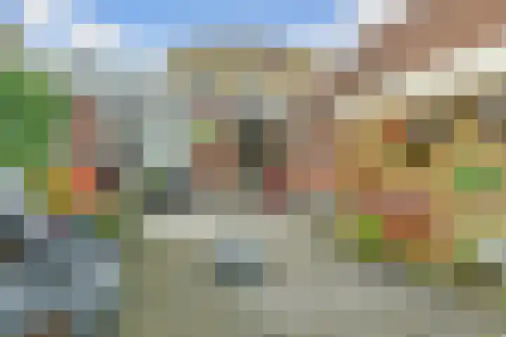De Tamboer 19 Duiven thumbnail 30