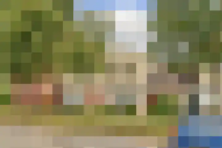 De Tamboer 19 Duiven thumbnail 42