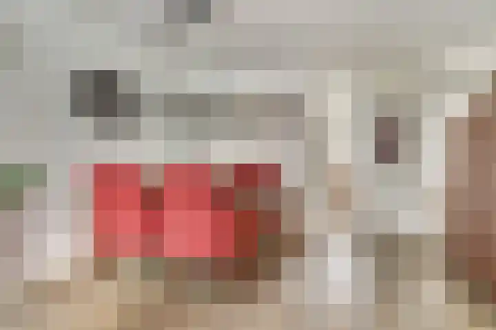 De Tamboer 19 Duiven thumbnail 8