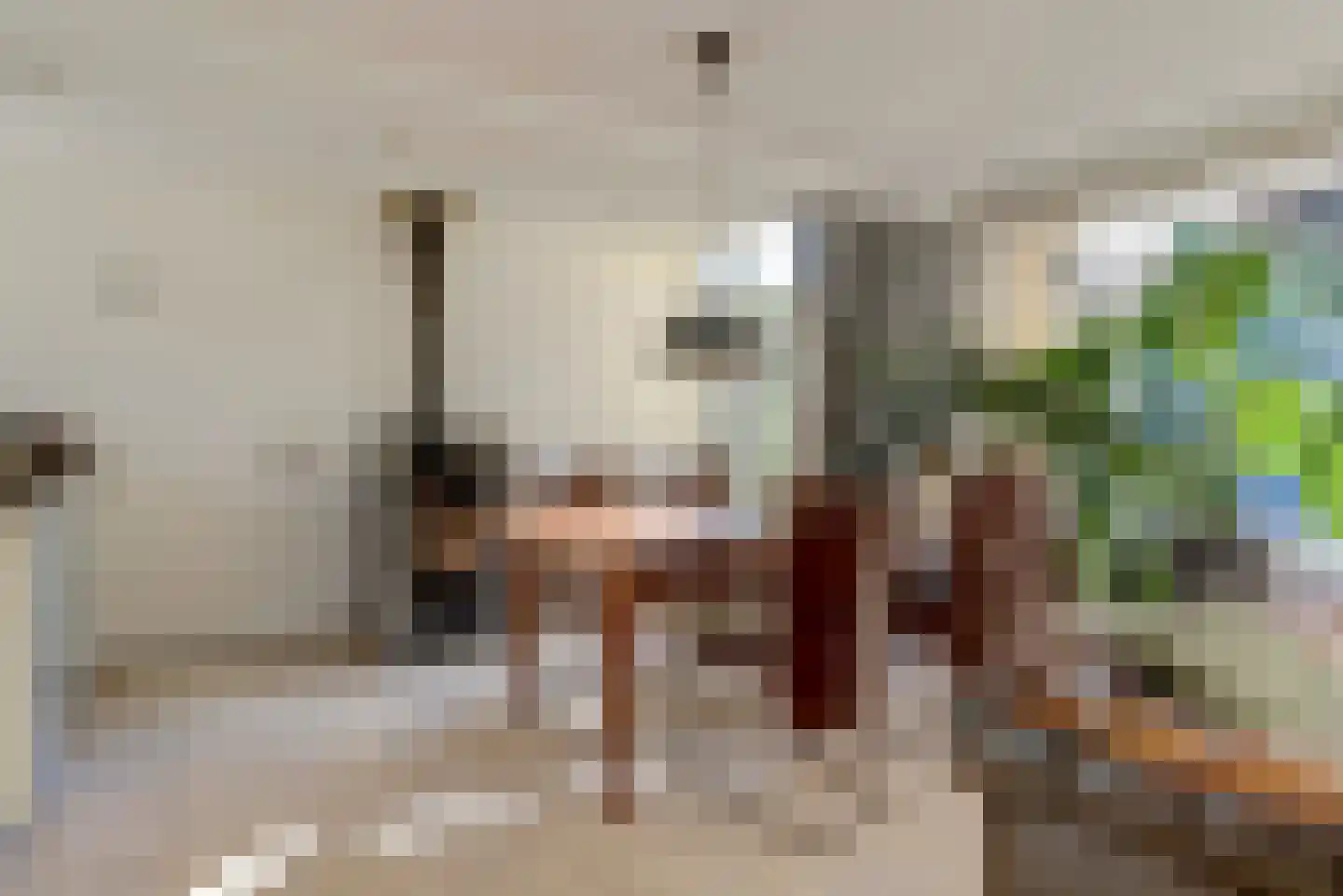 De Tamboer 24 Duiven thumbnail 10