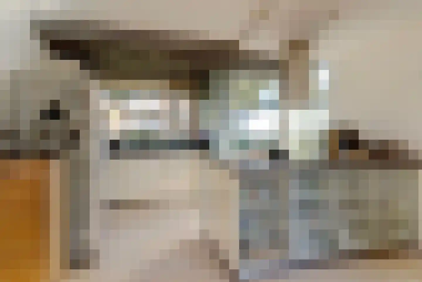 De Tamboer 24 Duiven thumbnail 13