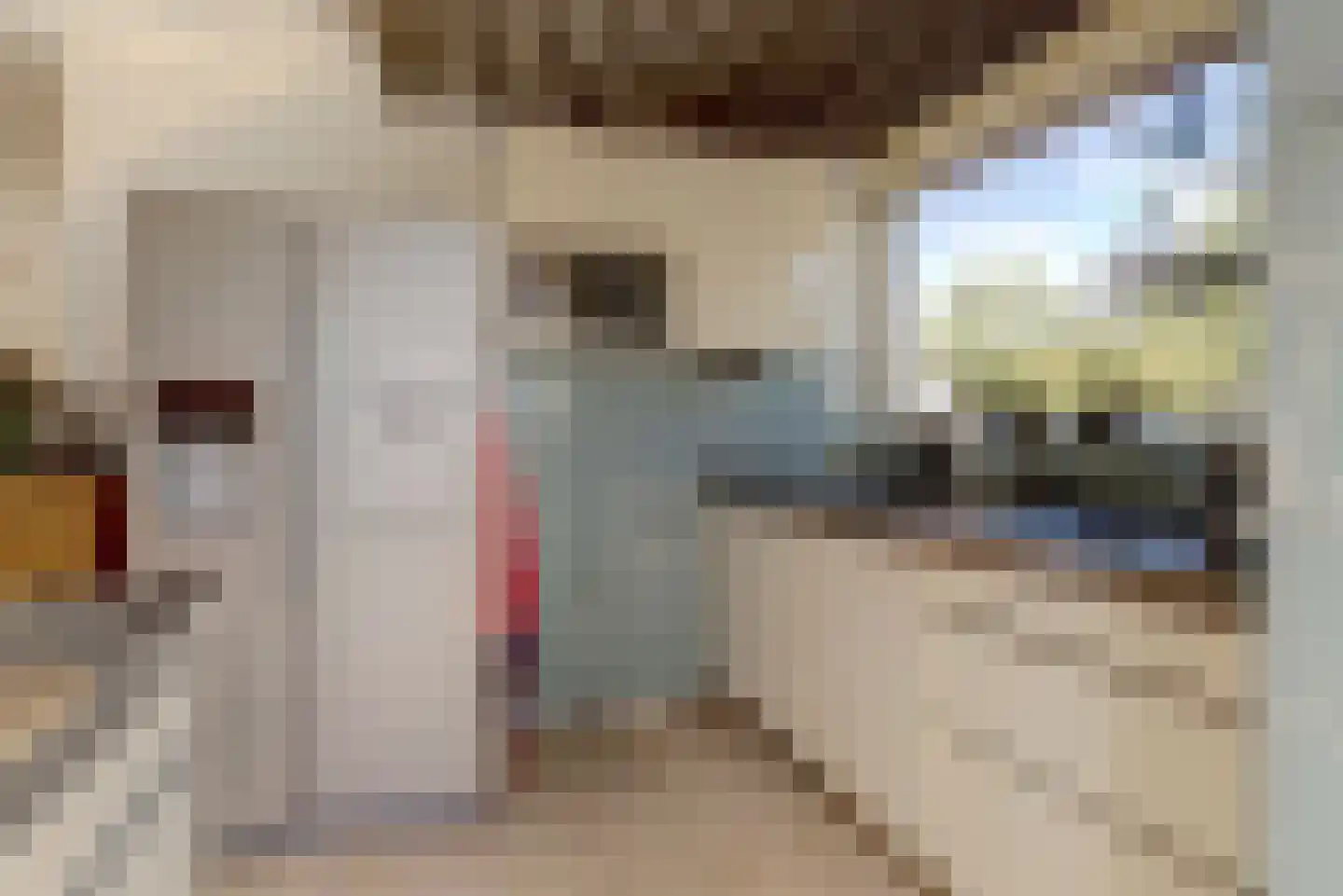 De Tamboer 24 Duiven thumbnail 14