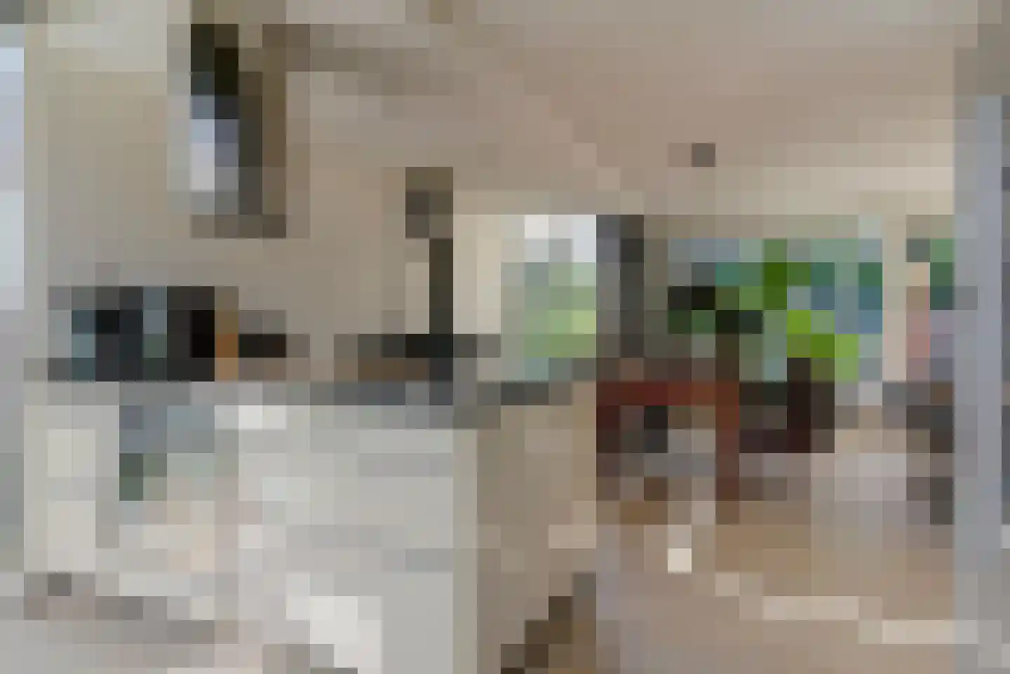 De Tamboer 24 Duiven thumbnail 15