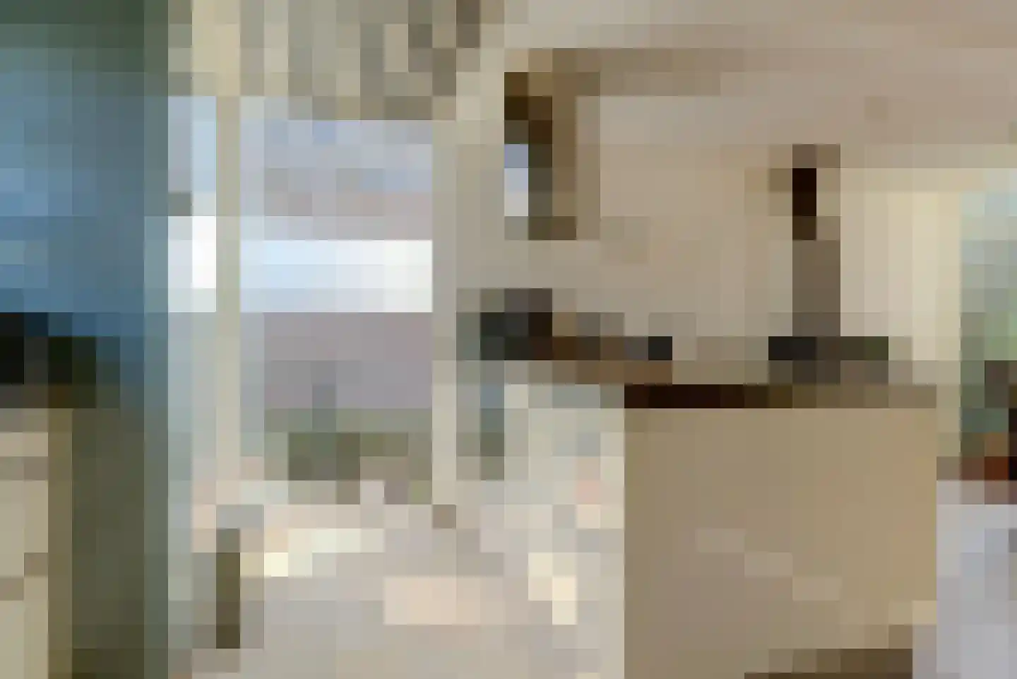 De Tamboer 24 Duiven thumbnail 16