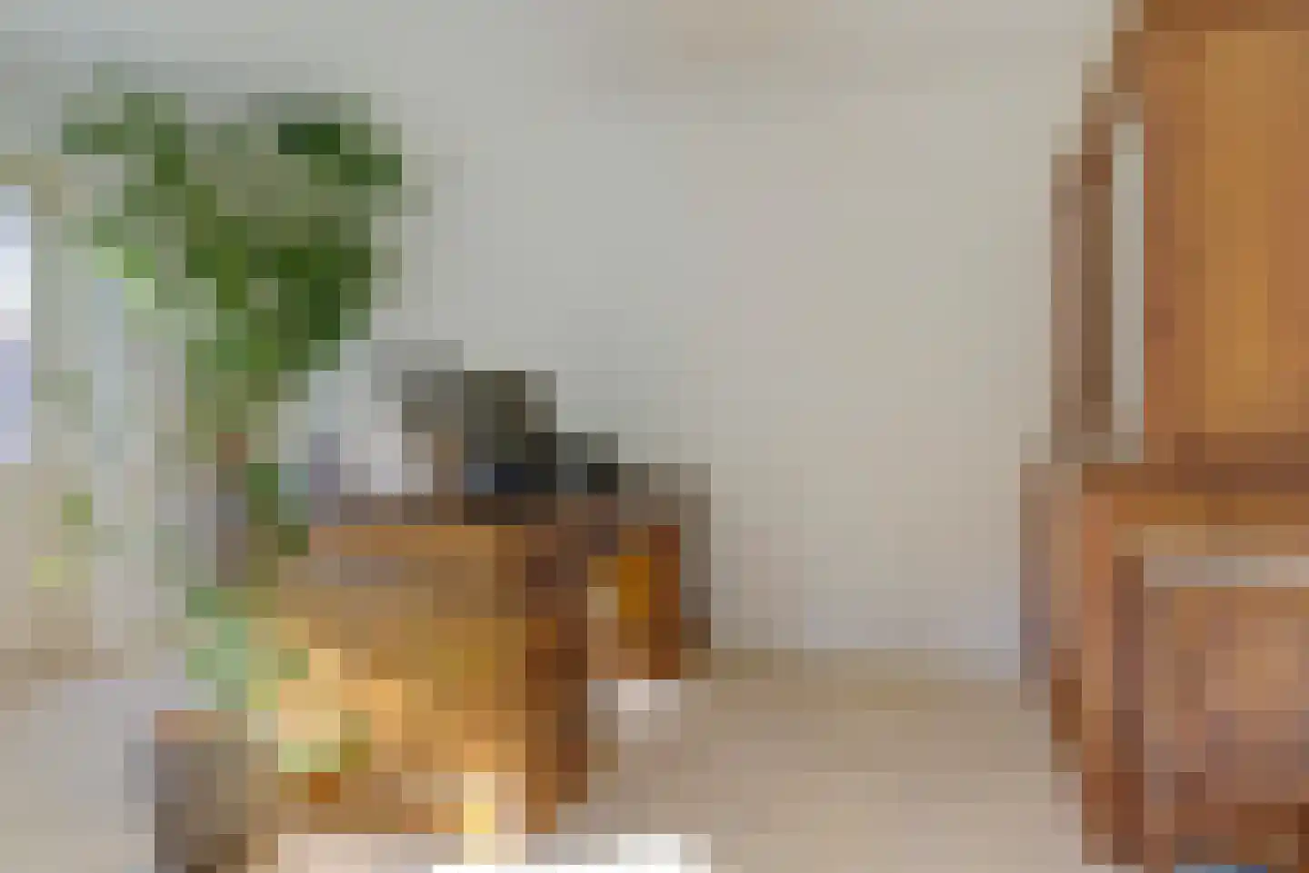 De Tamboer 24 Duiven thumbnail 17