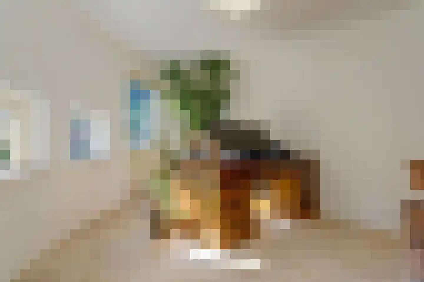 De Tamboer 24 Duiven thumbnail 18