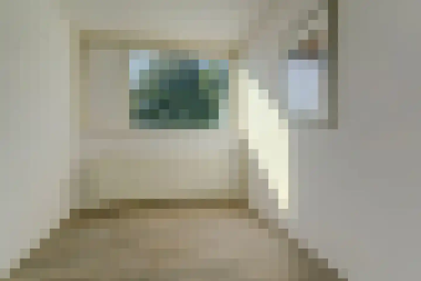 De Tamboer 24 Duiven thumbnail 25