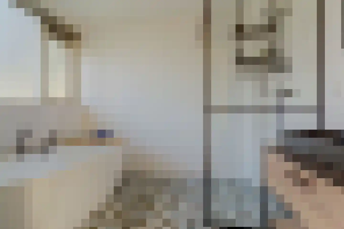 De Tamboer 24 Duiven thumbnail 31