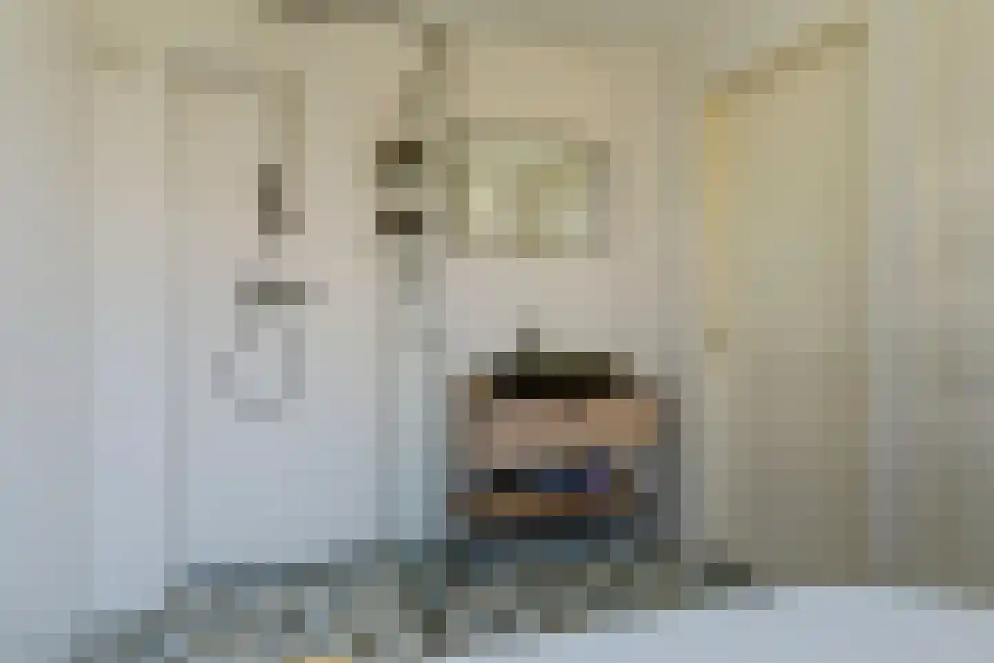 De Tamboer 24 Duiven thumbnail 32