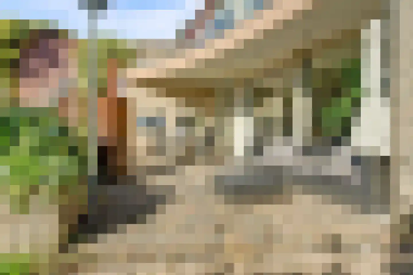 De Tamboer 24 Duiven thumbnail 35