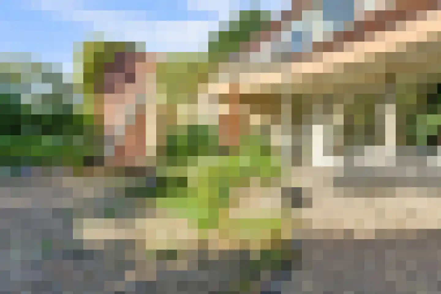 De Tamboer 24 Duiven thumbnail 36