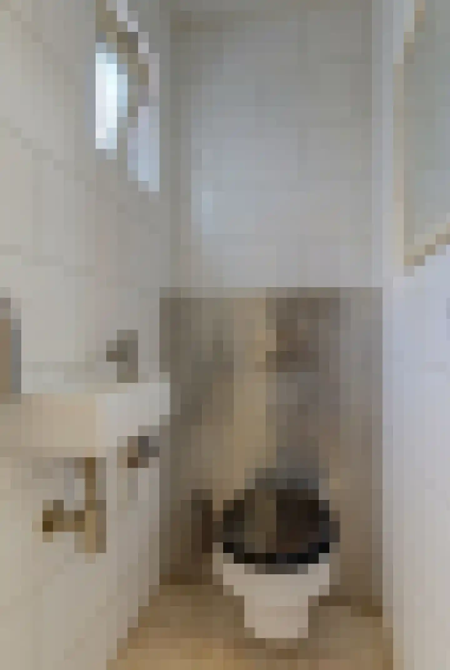De Tamboer 24 Duiven thumbnail 6