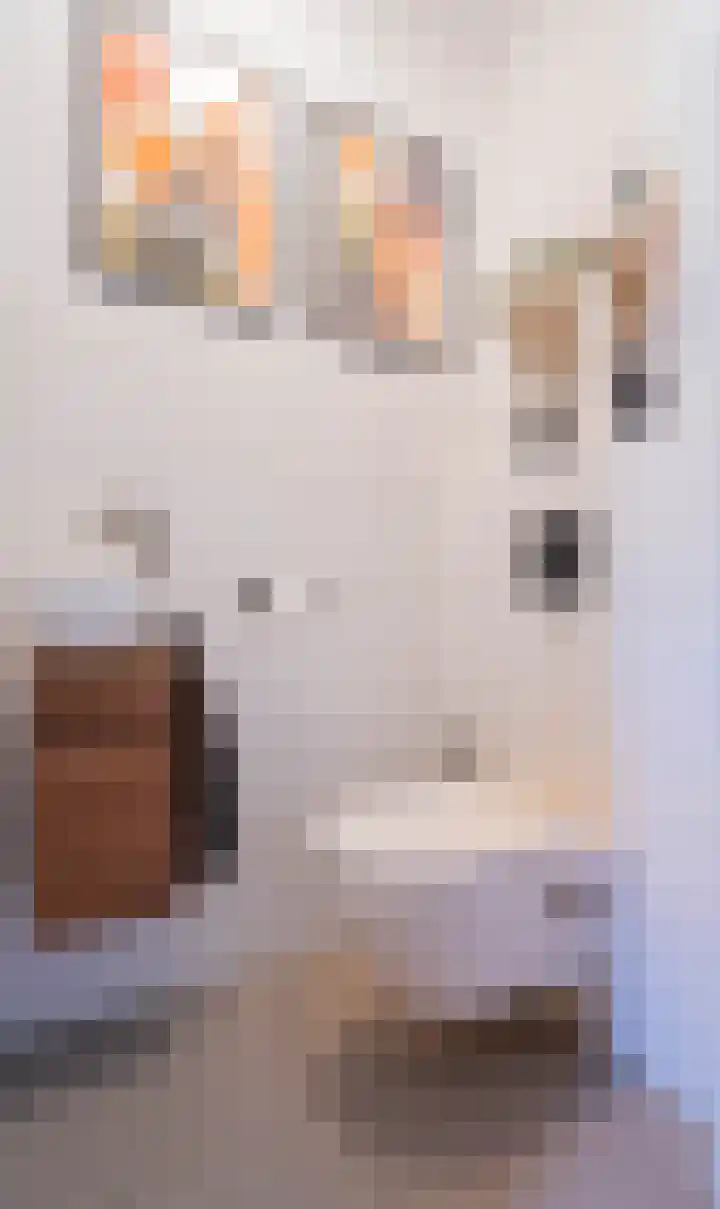 De Tamboerijn 12 Beek en Donk thumbnail 21