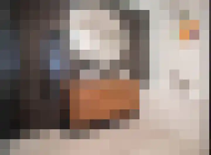 De Tamboerijn 12 Beek en Donk thumbnail 29