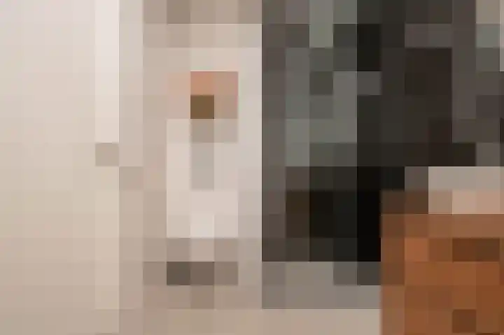 De Tamboerijn 12 Beek en Donk thumbnail 31
