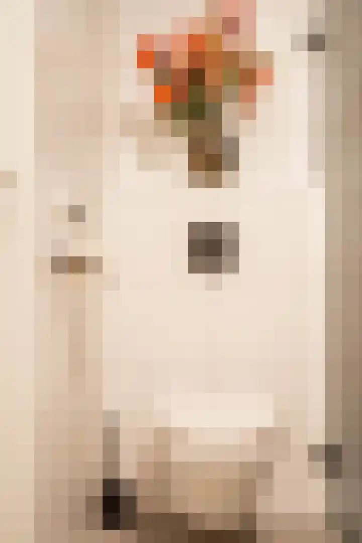 De Tamboerijn 12 Beek en Donk thumbnail 32
