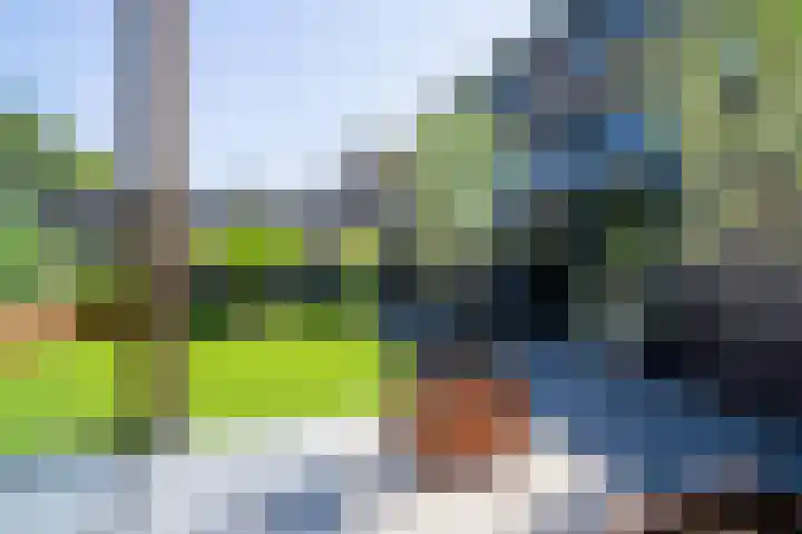 De Tamboerijn 12 Beek en Donk thumbnail 38