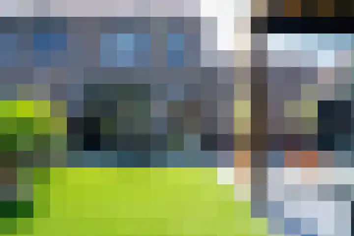 De Tamboerijn 12 Beek en Donk thumbnail 39