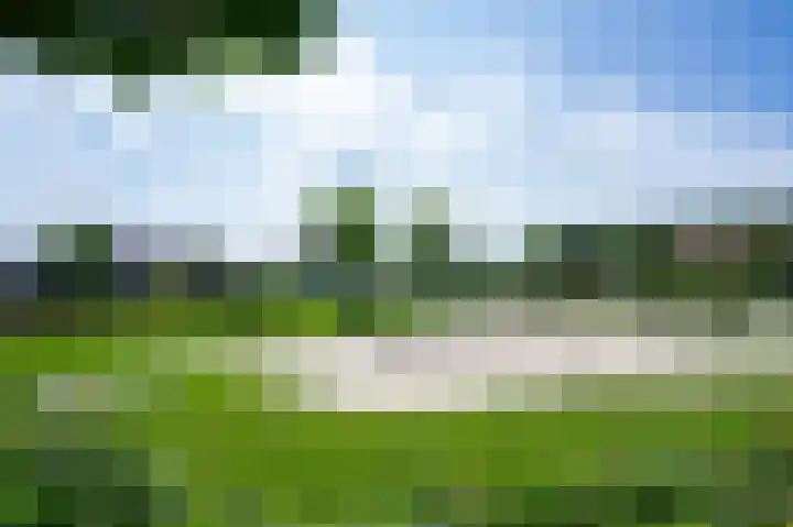 De Tamboerijn 12 Beek en Donk thumbnail 46