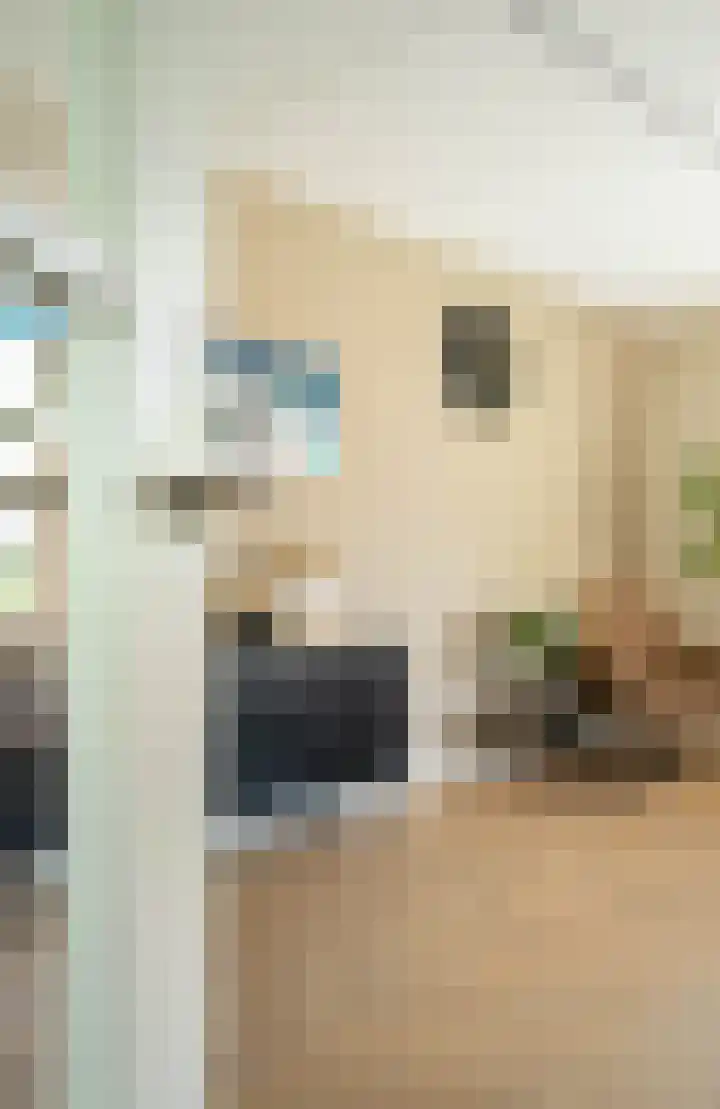 De Tamboerijn 12 Beek en Donk thumbnail 5