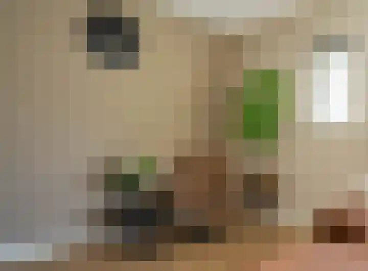 De Tamboerijn 12 Beek en Donk thumbnail 9