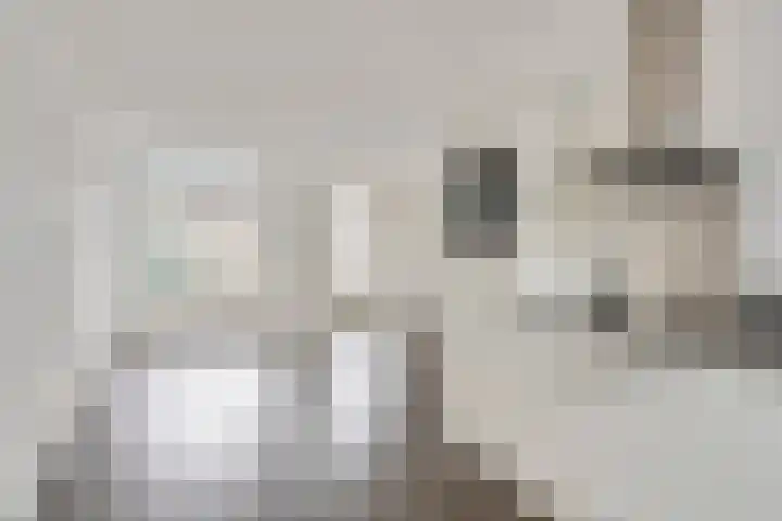 De Tamboerijn 13 Beek en Donk thumbnail 16