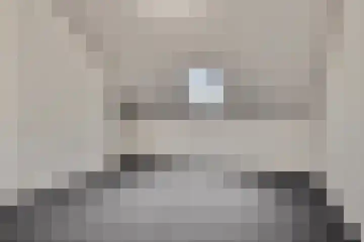 De Tamboerijn 13 Beek en Donk thumbnail 29