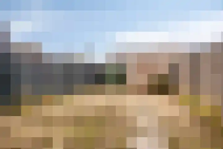 De Tamboerijn 13 Beek en Donk thumbnail 32