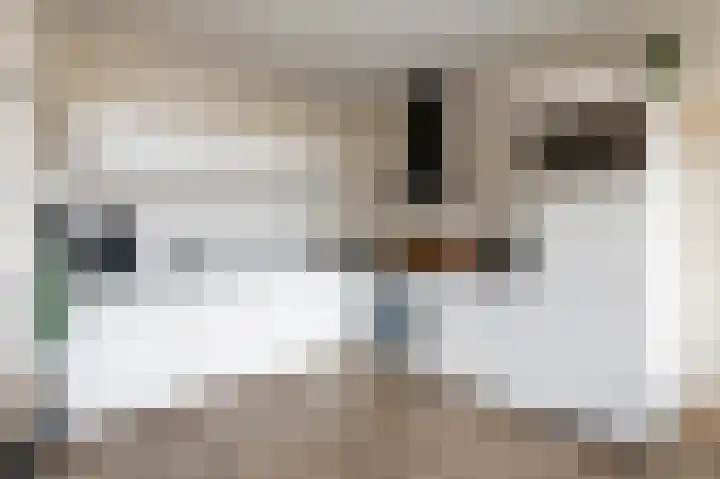 De Tapuit 8 Vriezenveen thumbnail 13