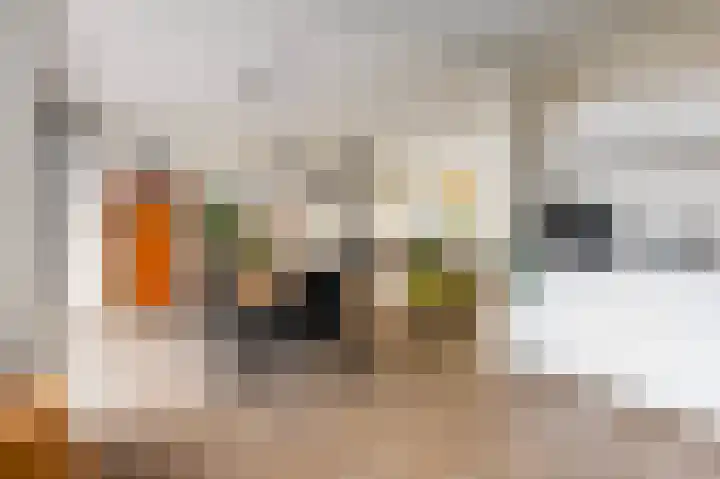 De Tapuit 8 Vriezenveen thumbnail 14