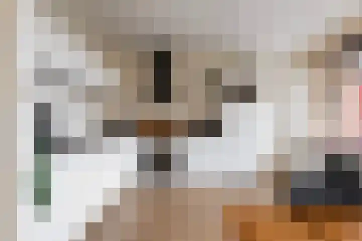 De Tapuit 8 Vriezenveen thumbnail 15